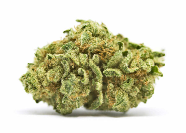 Buy Stardawg (Premium Bud) Online UK - Image 3