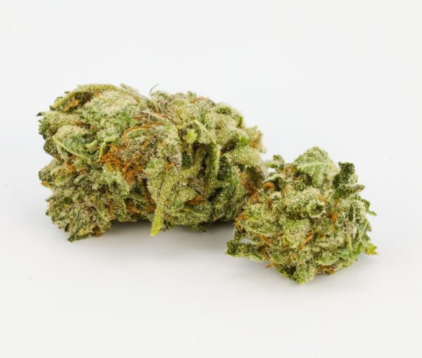 buy-critical-kush-online-uk